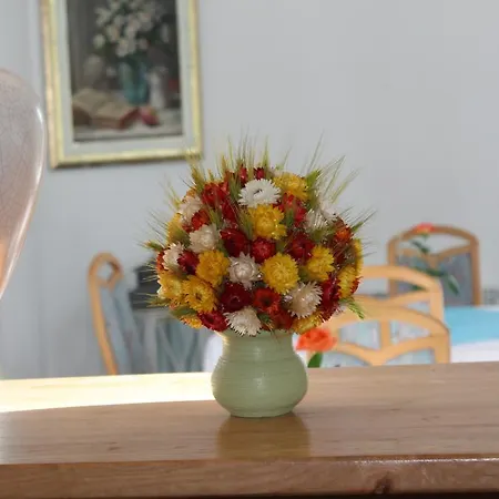 Oda ve Kahvaltı Mamry